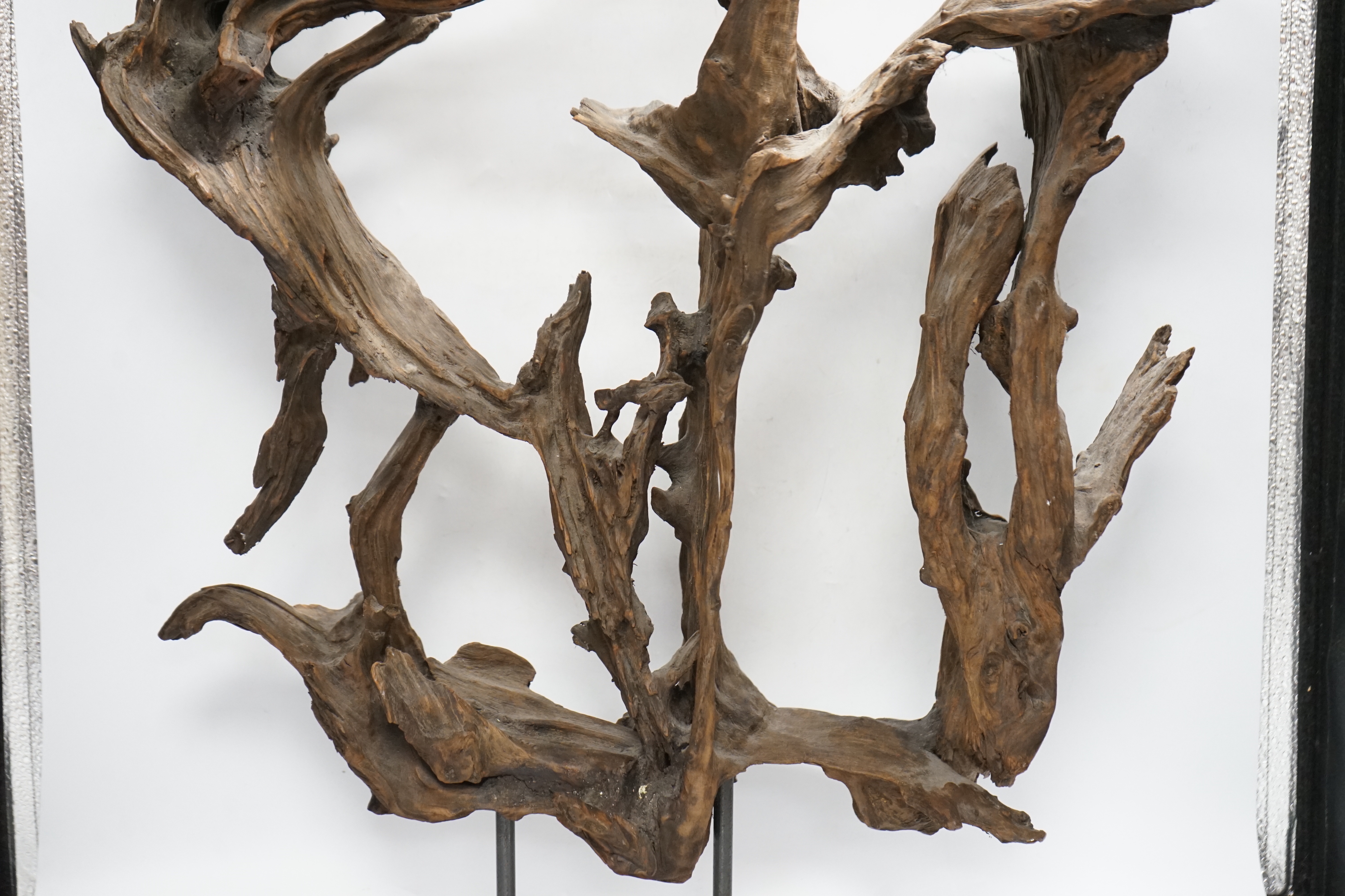 A naturalistic wood sculpture on stand, 66cm high